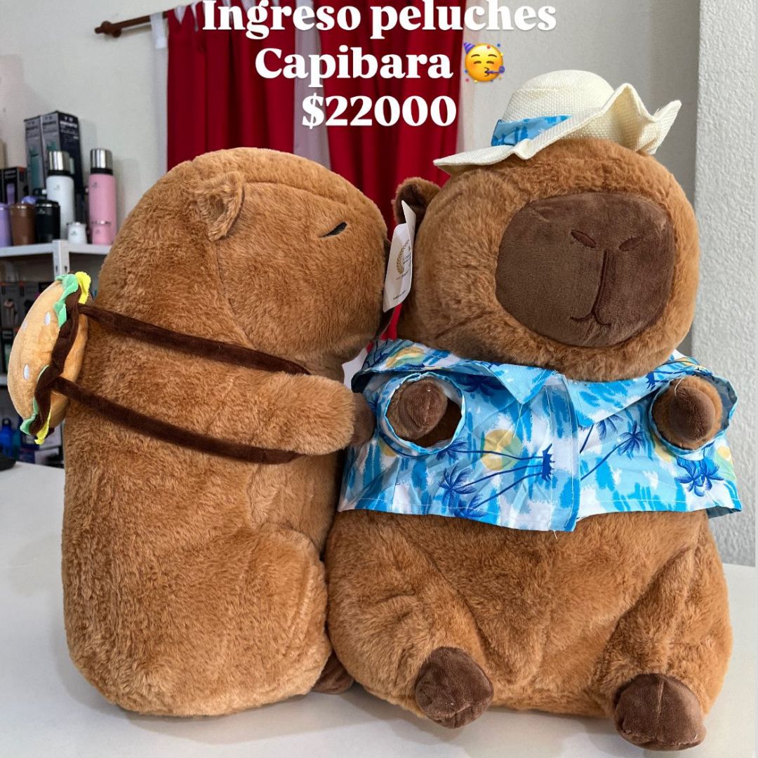 capibara-con-manta-543